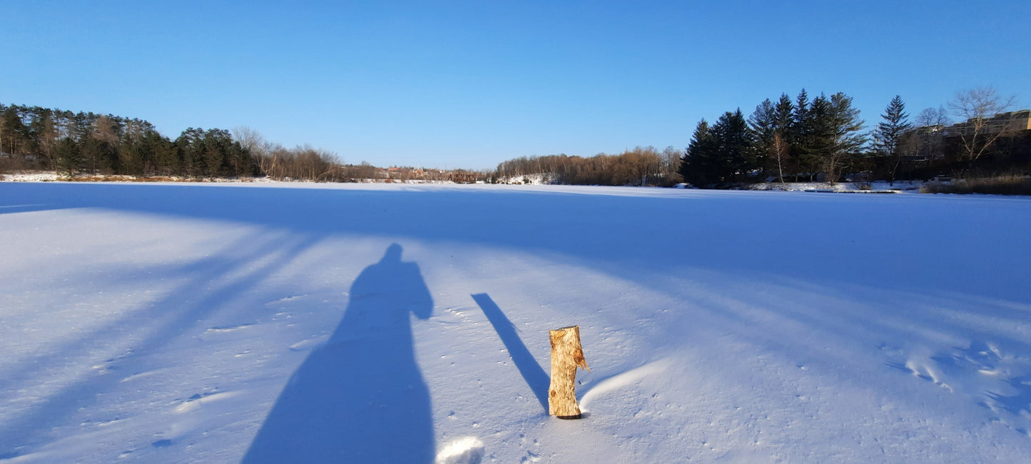 2022-01-11 Trouve Ombre De La Bûche (Vue Souche) *