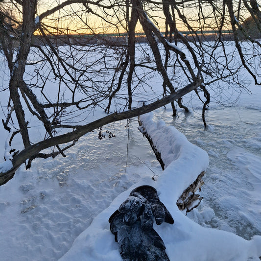 2026-01-01 (Vue C1)