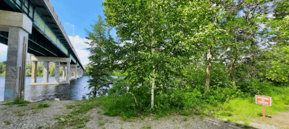 No voy a Strom Spa (Animación)