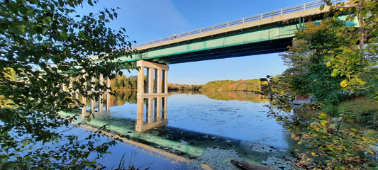 Trouve Le Chien Du 6 Octobre 2021 17H02 (Vue K1) Rivière Magog À Sherbrooke. Pont Jacques Cartier.