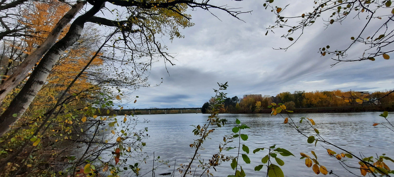 26 Octobre 2021 17H20 (Vue 0)