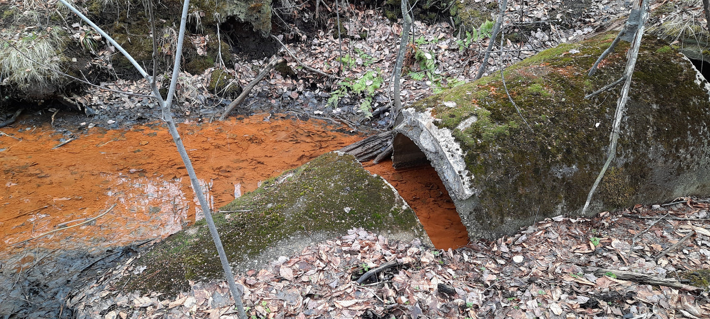 2022-03-27 (Vue Égoût) Trouve Le Brun De Sherbrooke