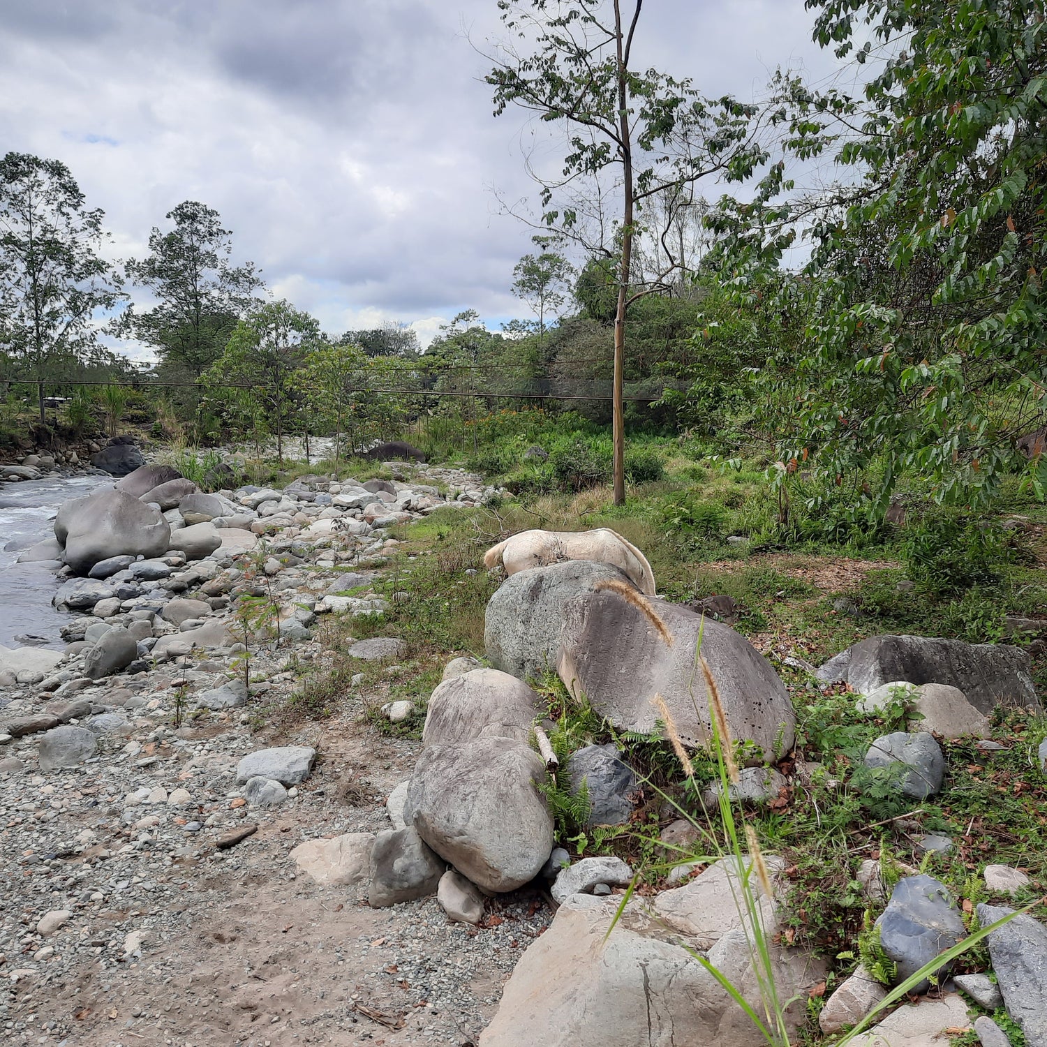 Trouve Le Cheval De Rivas
