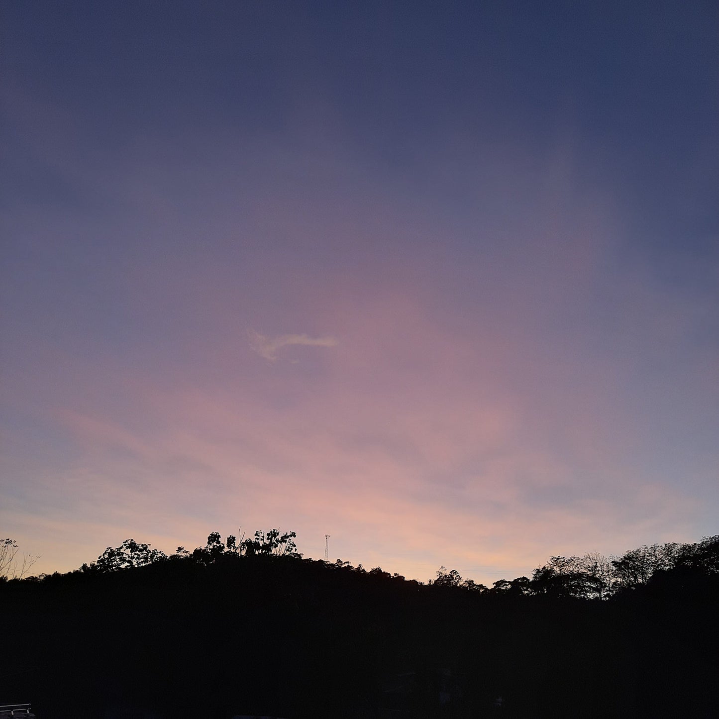 2023-01-28 Lait Chaud Crème Sûre Et Plage