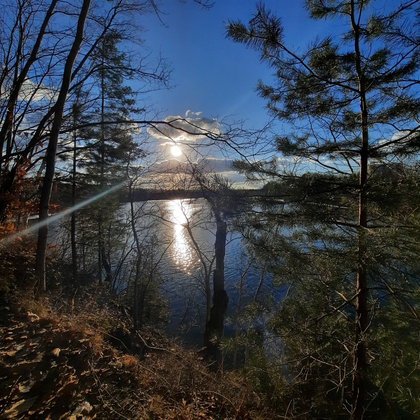 2024-02-13 15:55 (Vue 2.3)