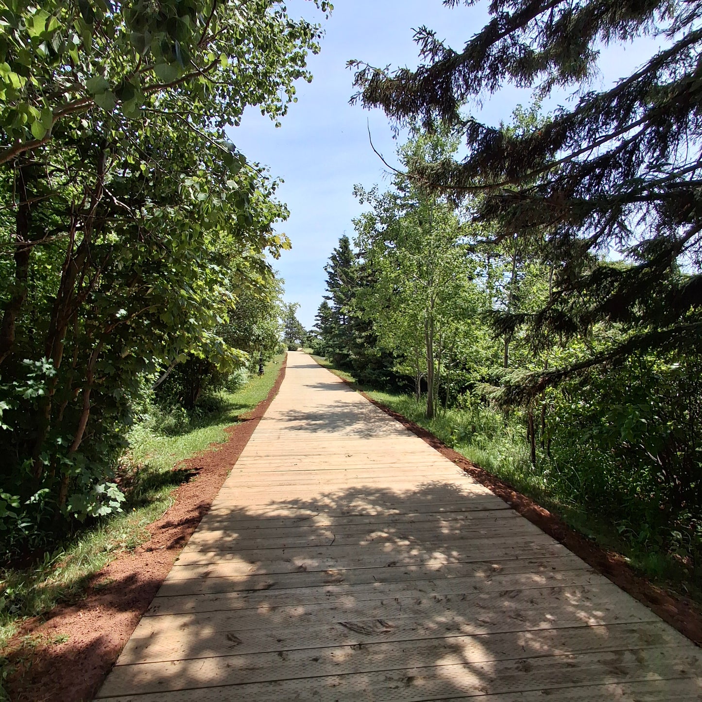 North Rustico Boardwalk
