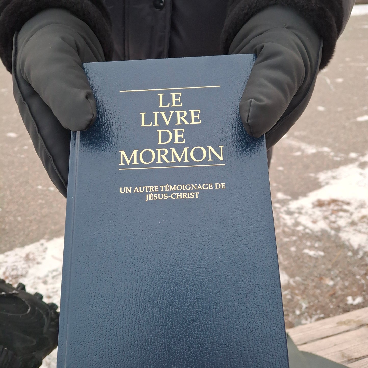 Livre de Mormon Jésus Christ