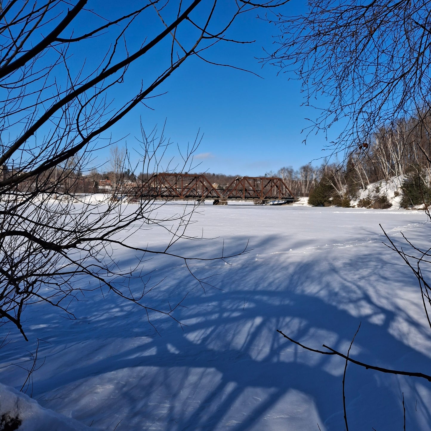 2026-01-24 (Vue C1)