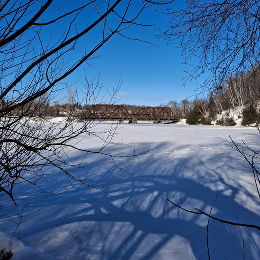 2026-01-24 (Vue C1)