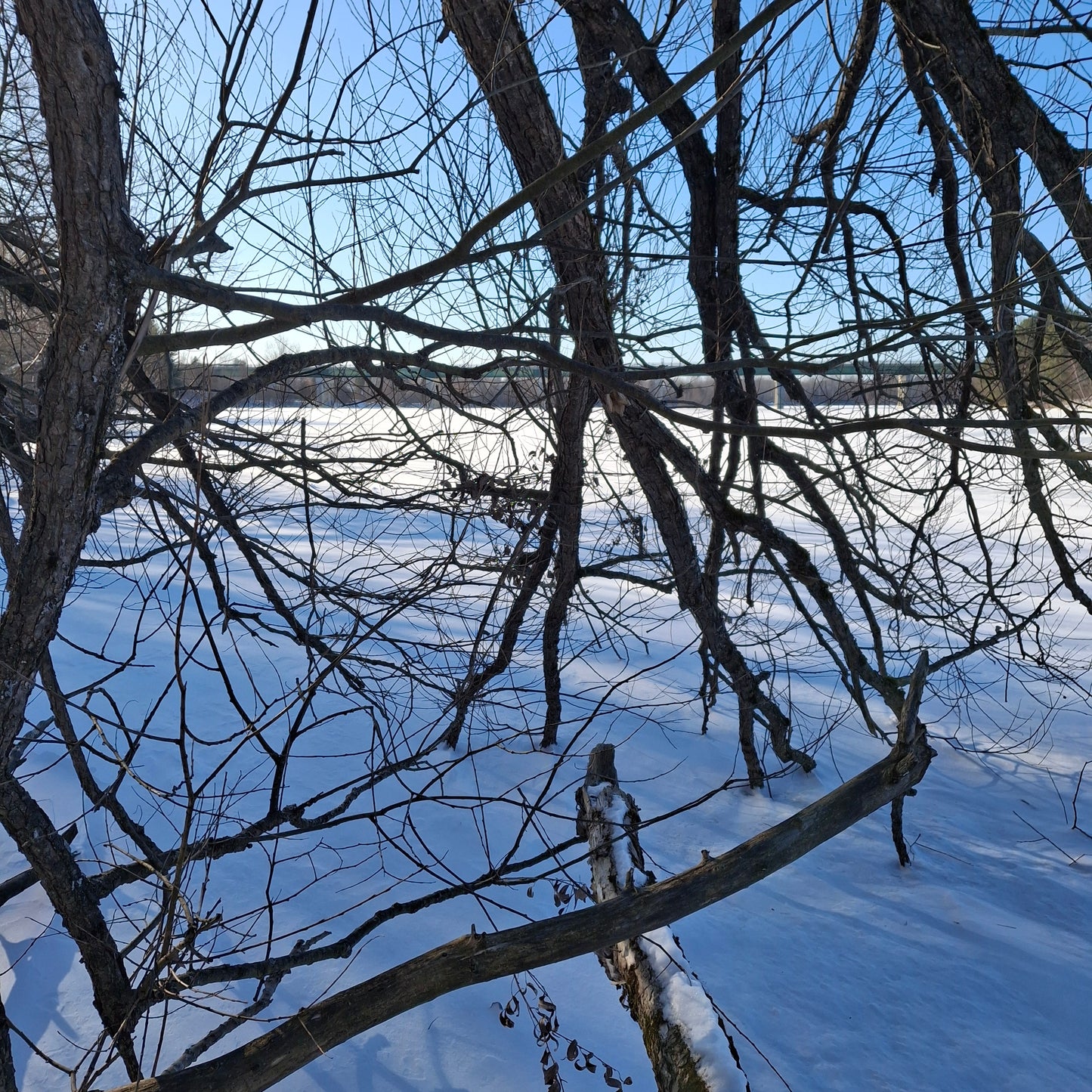 2026-01-24 (Vue C1)