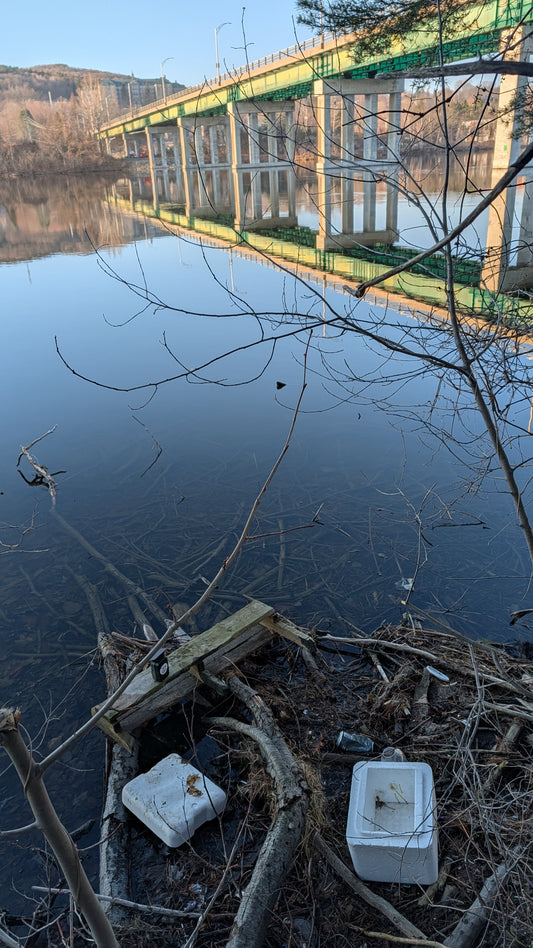 Encuentra el número de imágenes tomadas con la cámara de seguimiento.