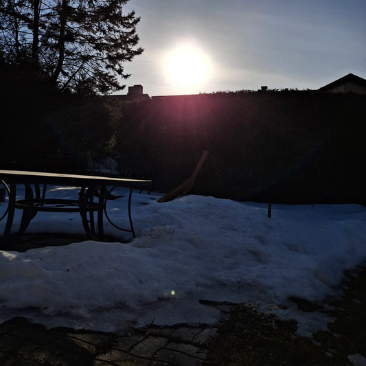 Jus de pomme (Vue Maison)