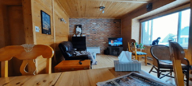 2022-04-02 (Ver Pañuelos) (Animación)