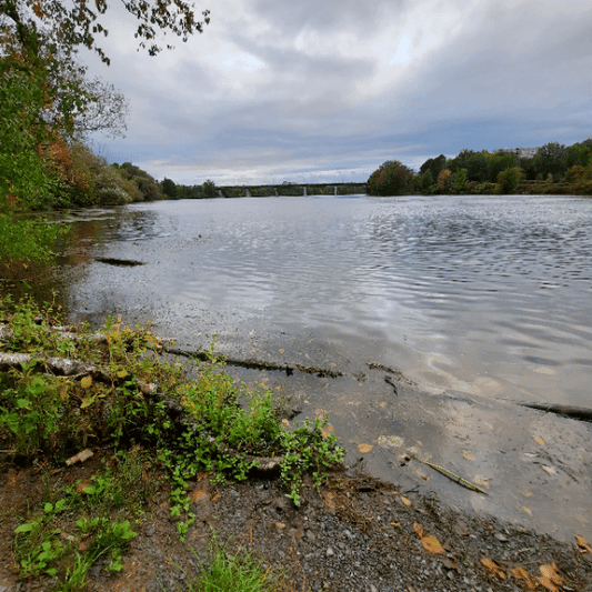 2022-09-22 (Ver 1) Animación